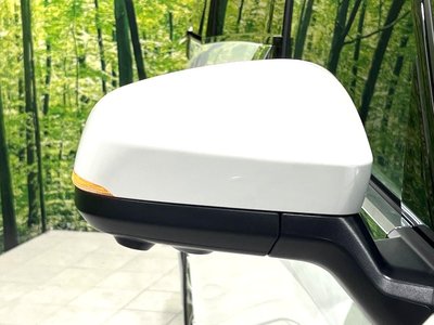 2024 Toyota ALPHARD 缩略图 57