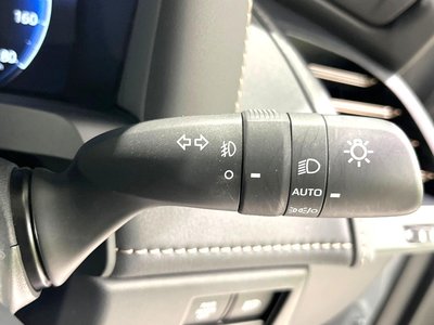 2024 Toyota ALPHARD 缩略图 37