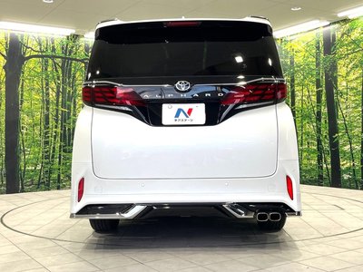 2024 Toyota ALPHARD 缩略图 17