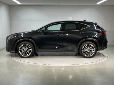 2023 Lexus NX photo 4