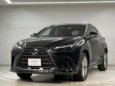 2023 Lexus NX photo 1