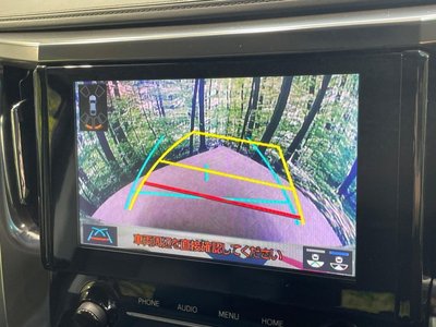 TOYOTA ALPHARD - 6