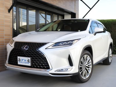 LEXUS RX - 10