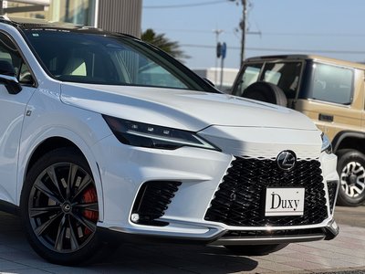 LEXUS RX - 7