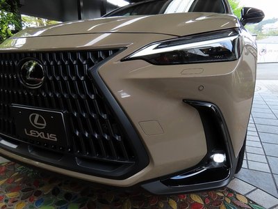 LEXUS NX - 10