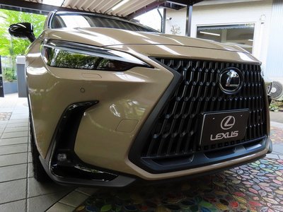 LEXUS NX - 1