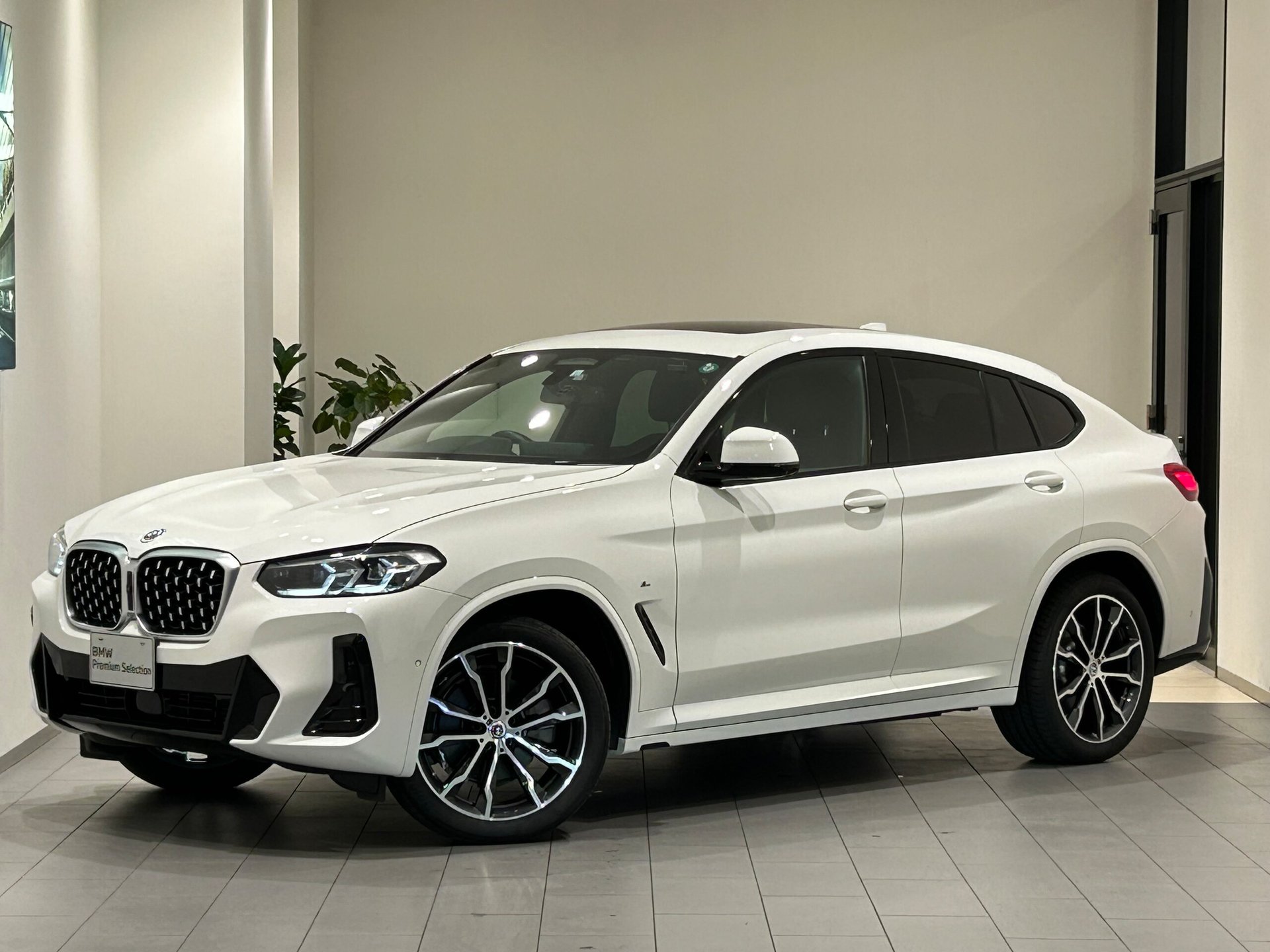 BMW X4 - View 1