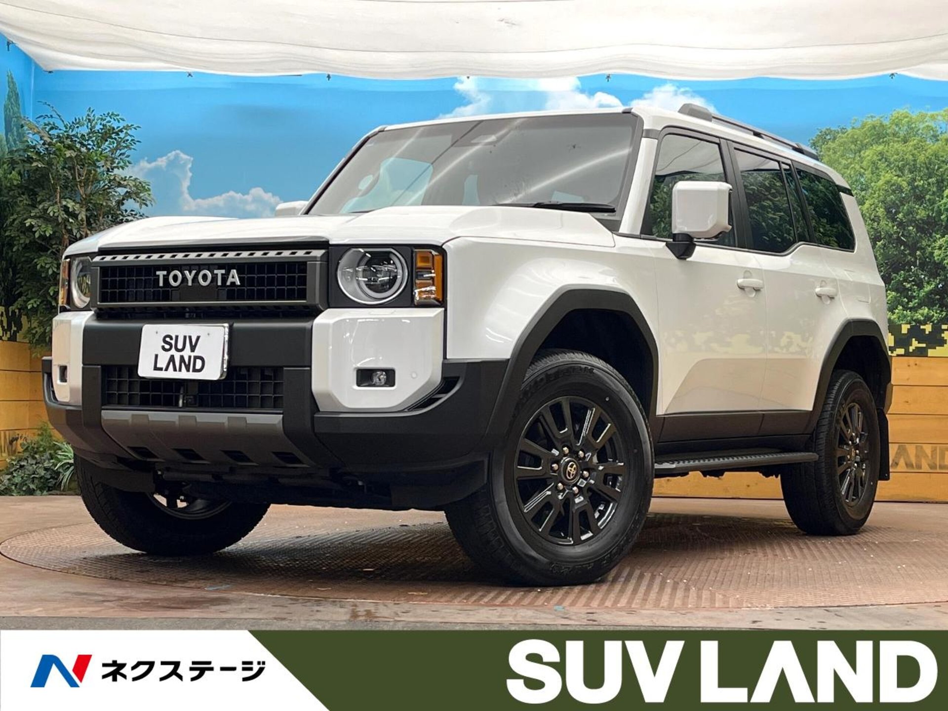 TOYOTA LAND CRUISER 250 - View 1