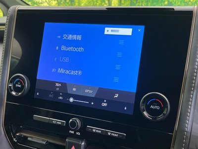 2025 Toyota ALPHARD photo 48