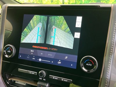 2025 Toyota ALPHARD photo 49