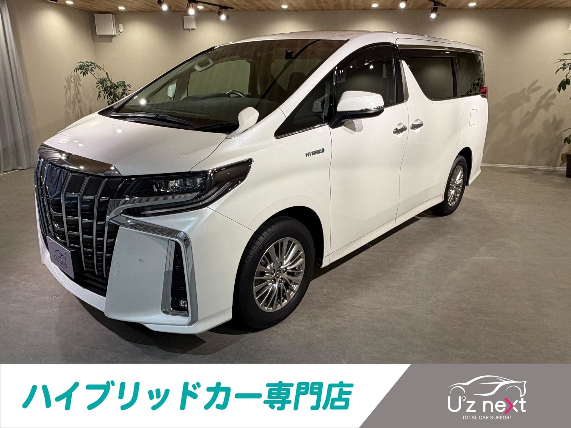TOYOTA ALPHARD - View 1