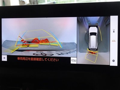 2025 Toyota LAND CRUISER 250 photo 9