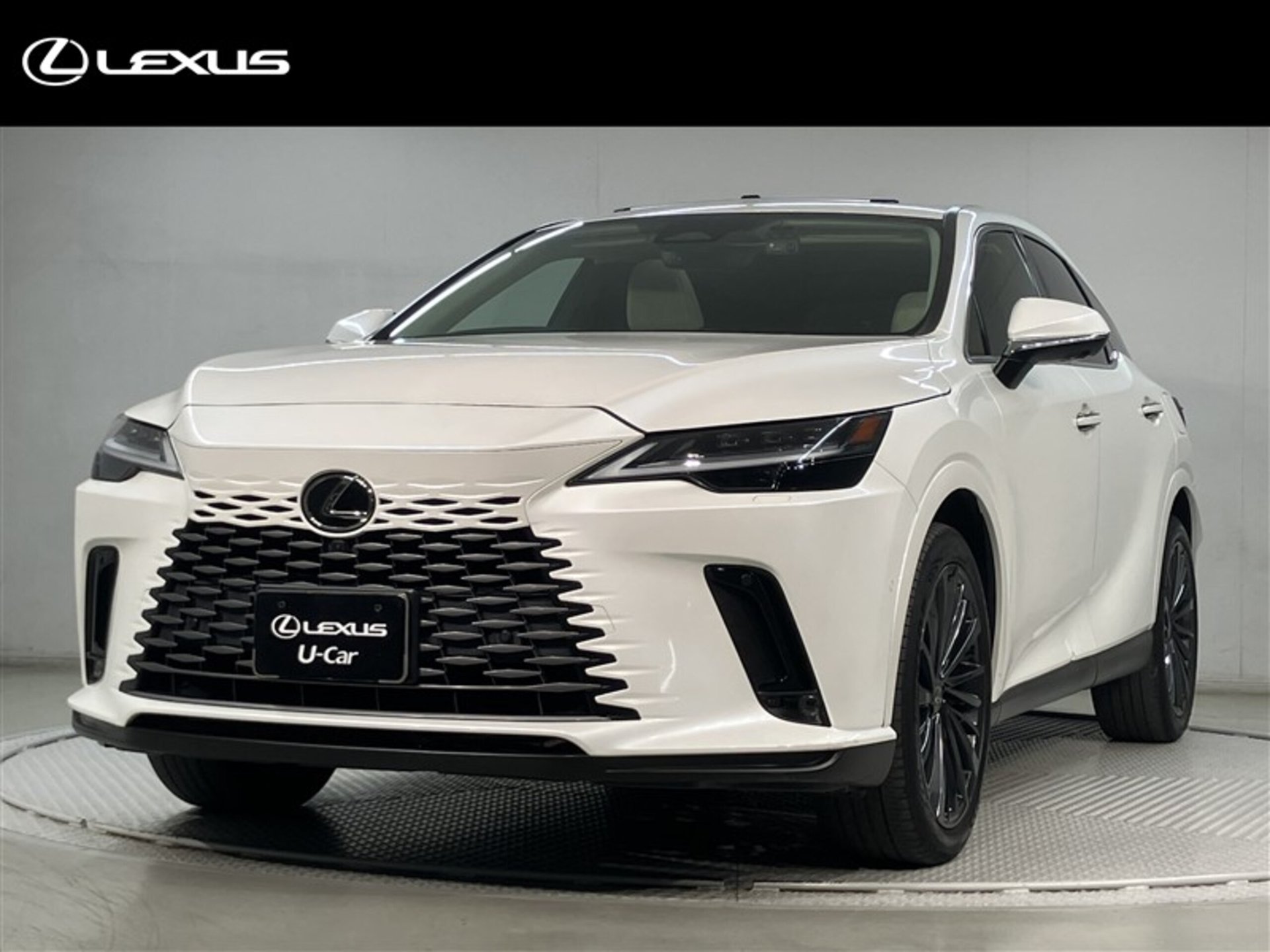 LEXUS RX - View 1