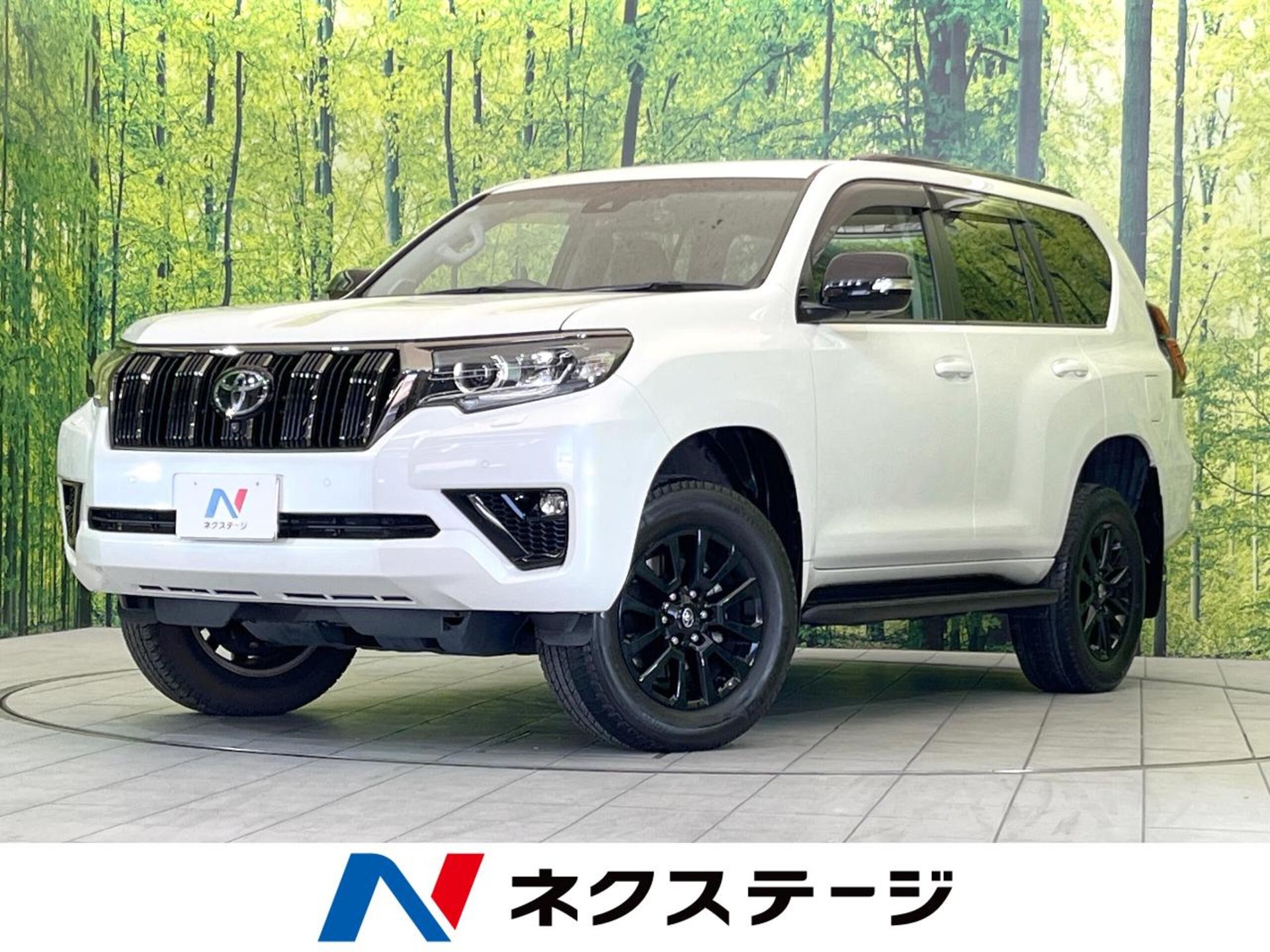 TOYOTA LAND CRUISER PRADO - View 1