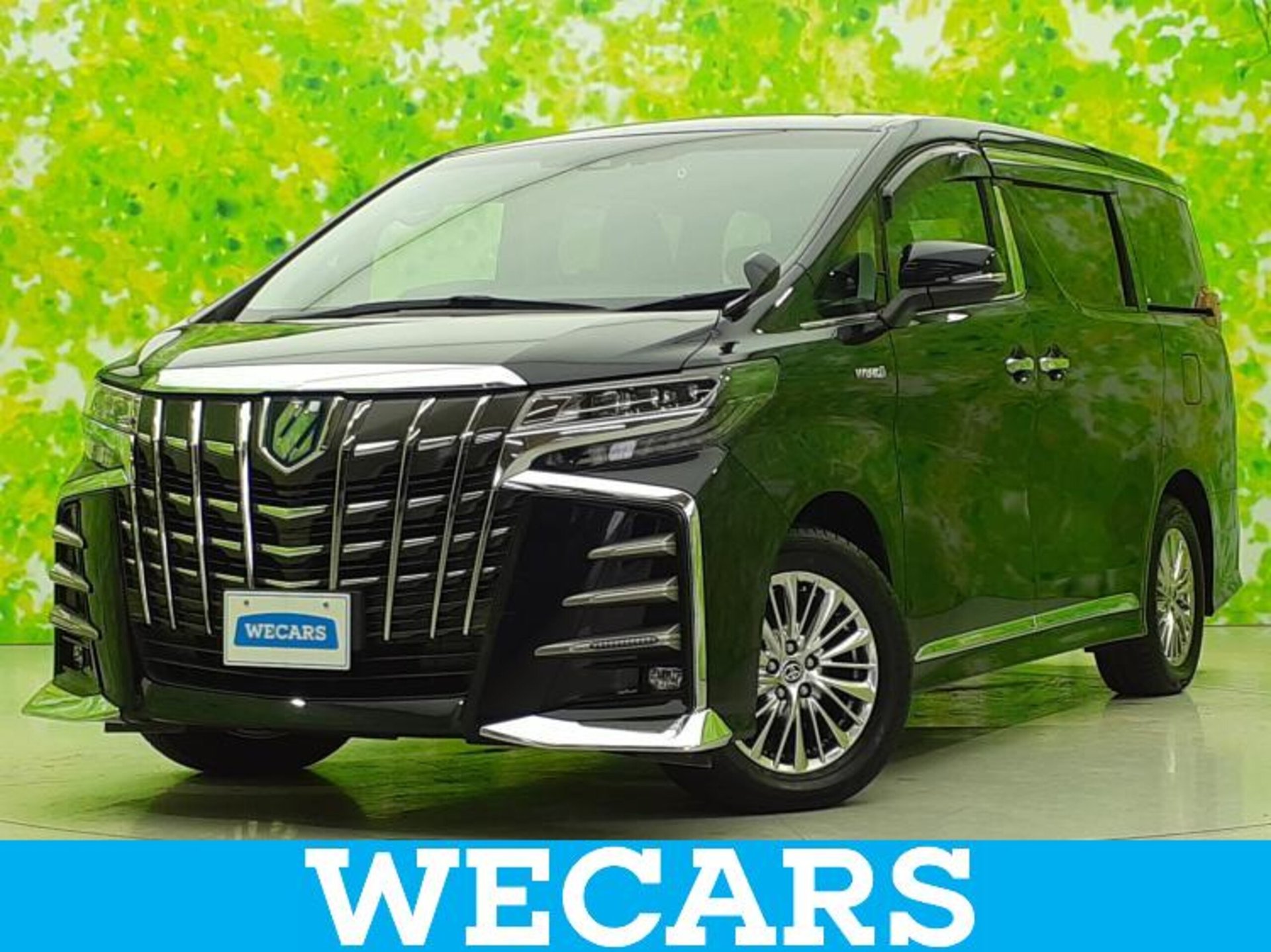 TOYOTA ALPHARD - View 1