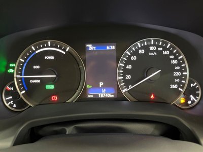 صورة مصغرة 49 لـ 2021 Lexus RX