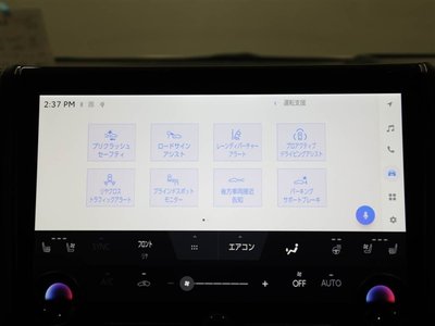 2024 TOYOTA ALPHARD 缩略图 28