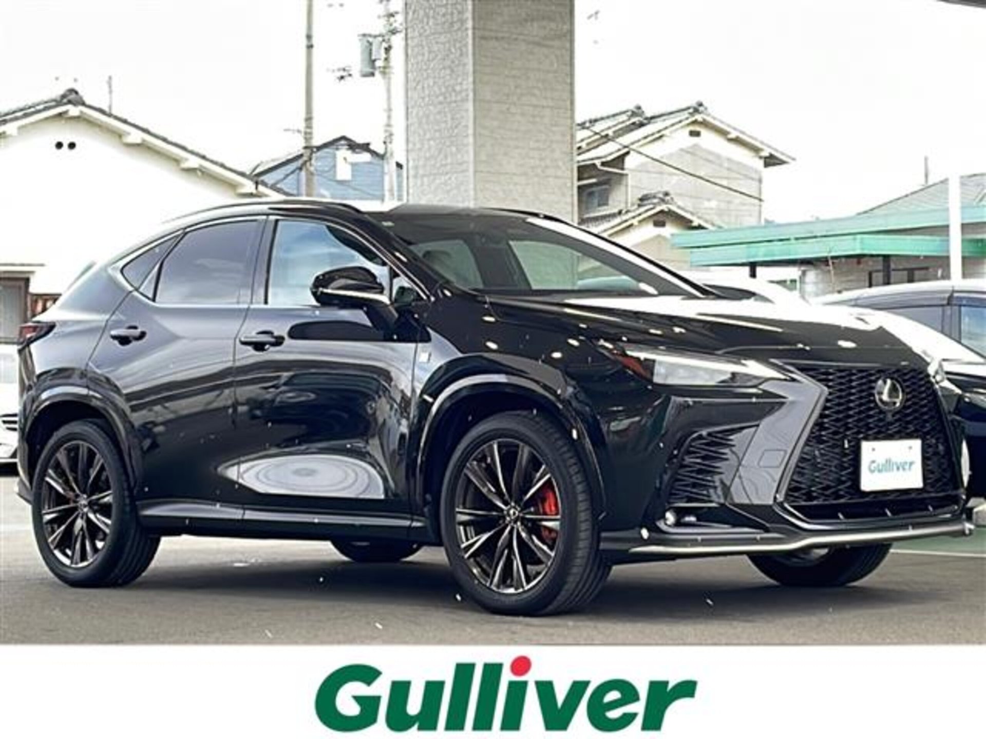 LEXUS NX - View 1