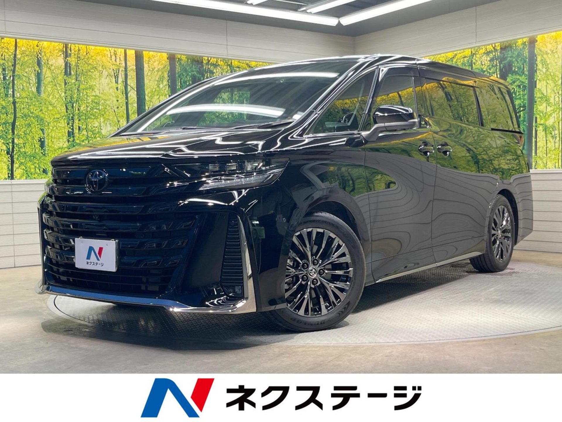 TOYOTA VELLFIRE - View 1