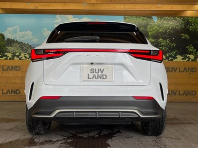 صورة مصغرة 16 لـ 2023 Lexus NX