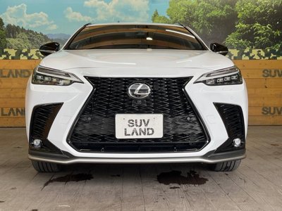 صورة مصغرة 15 لـ 2023 Lexus NX