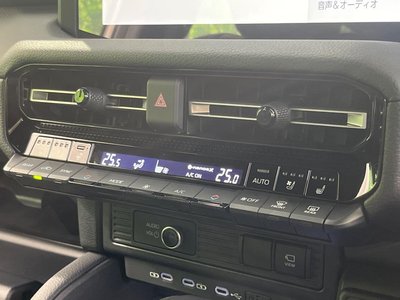 TOYOTA LAND CRUISER 250 - 6