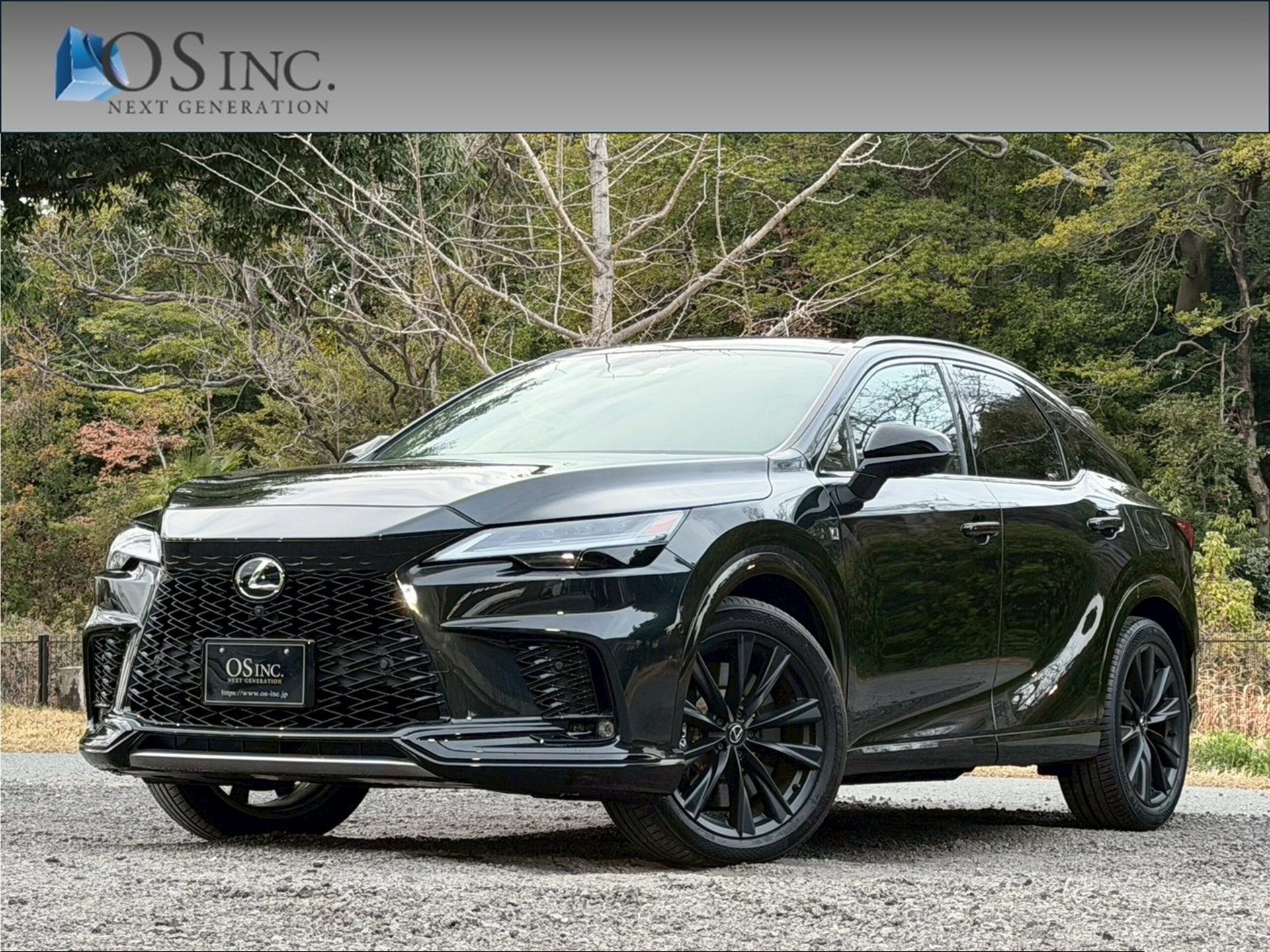 LEXUS RX - View 1