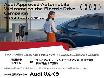 صورة 3 لـ 2025 AUDI Q6 E-TRON