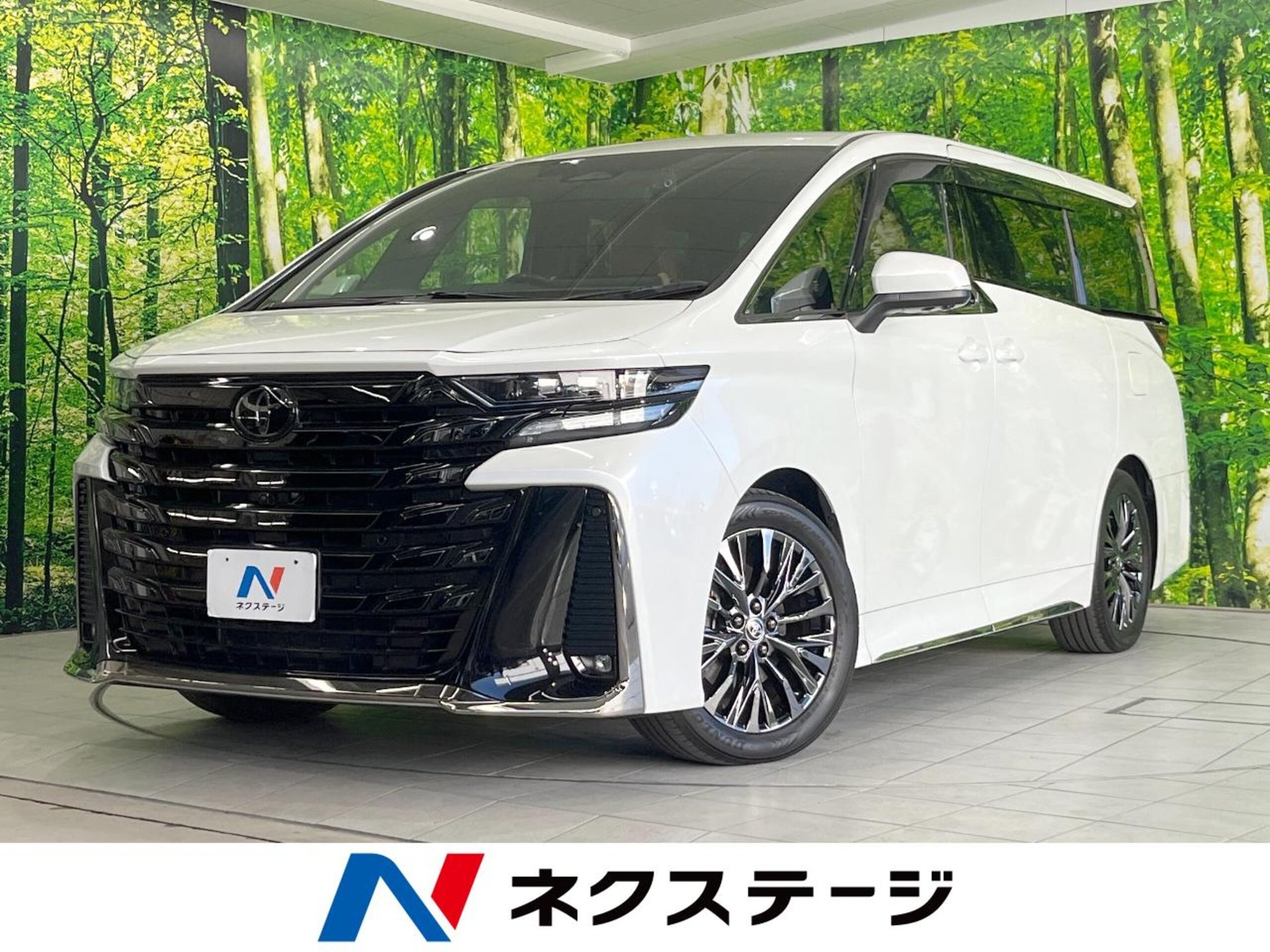 TOYOTA VELLFIRE - View 1
