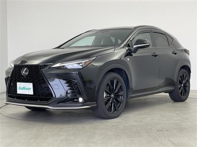 2025 Lexus NX — миниатюра 32