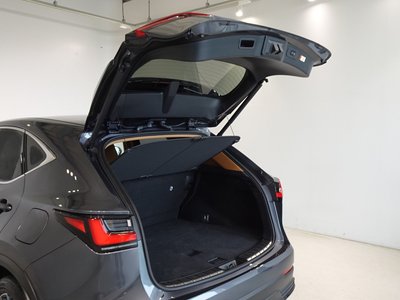 2023 Lexus NX 缩略图 24