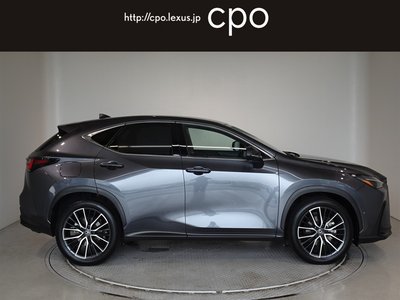 LEXUS NX - 7