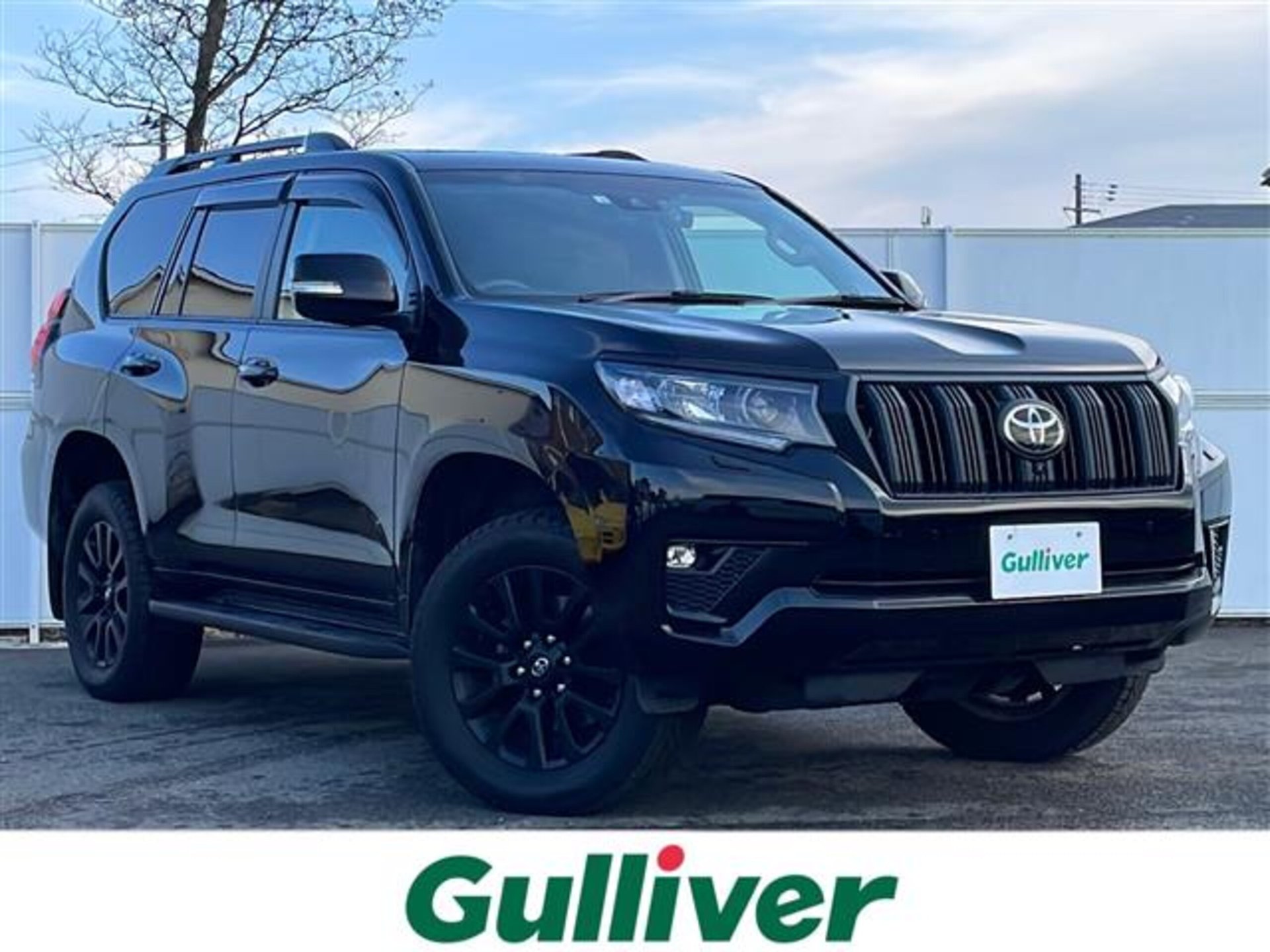 TOYOTA LAND CRUISER PRADO - View 1