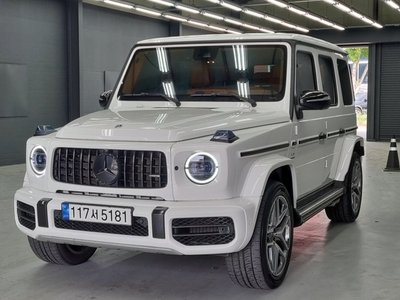 MERCEDES-BENZ G-CLASS - 1