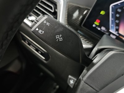 2025 BMW X7 thumbnail 30