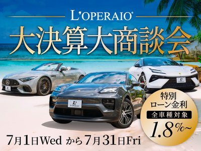 2024 Tesla MODEL X 照片 3