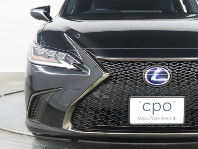 2021 LEXUS ES 照片 8