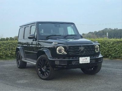 MERCEDES-BENZ G-CLASS - 1