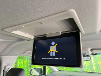 2022 Toyota ALPHARD photo 6