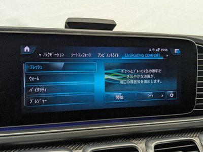 2020 Mercedes-BENZ GLS AMG — миниатюра 68