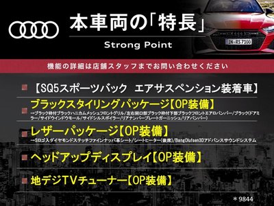 2022 AUDI SQ5 SPORTBACK 照片 3