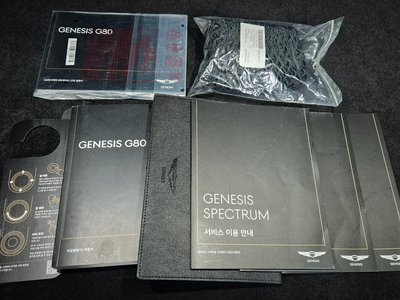 2020 Genesis G80 (RG3) 缩略图 33
