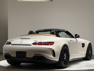 صورة مصغرة 11 لـ 2018 Mercedes-BENZ GT AMG