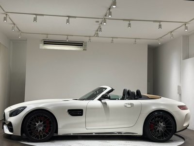 صورة 8 لـ 2018 Mercedes-BENZ GT AMG