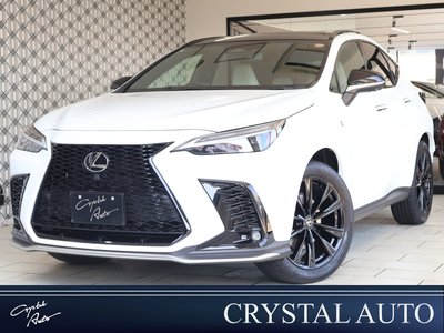 LEXUS NX - 1