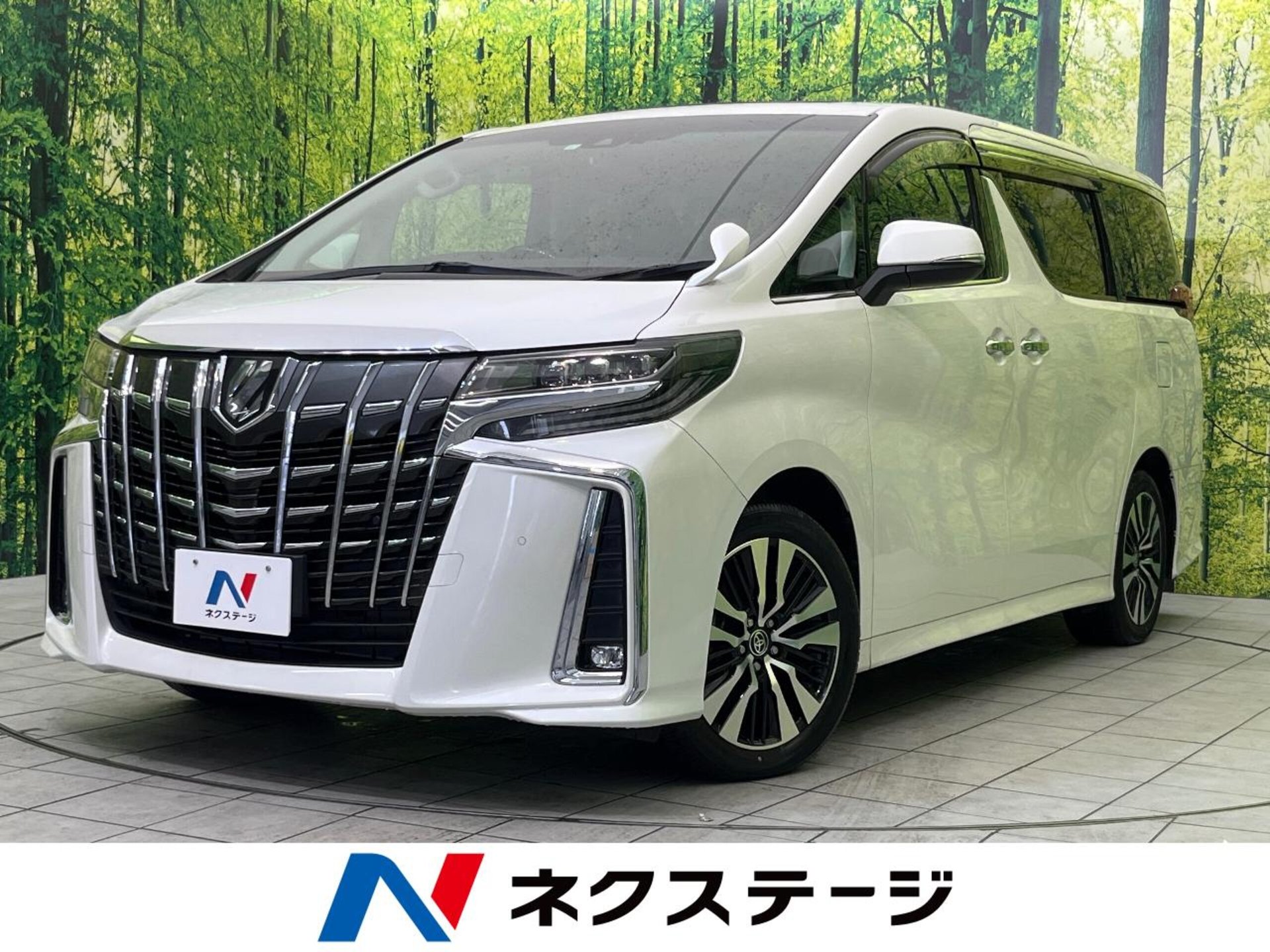 TOYOTA ALPHARD - View 1