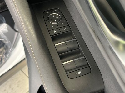 2024 TOYOTA ALPHARD 缩略图 52