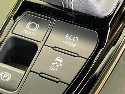 2024 TOYOTA ALPHARD 缩略图 44