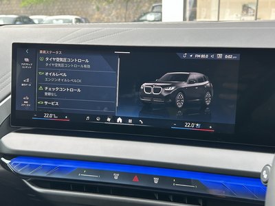 2025 BMW X3 缩略图 49