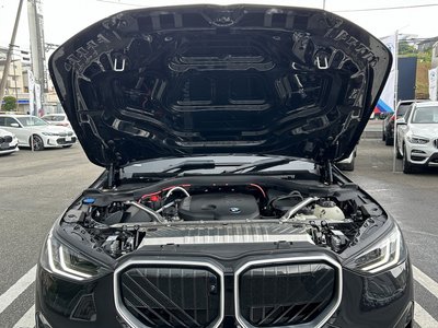 2025 BMW X3 缩略图 77